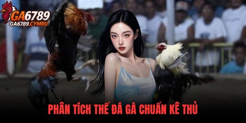Phân tích thế đá gà chuẩn tại GA6789